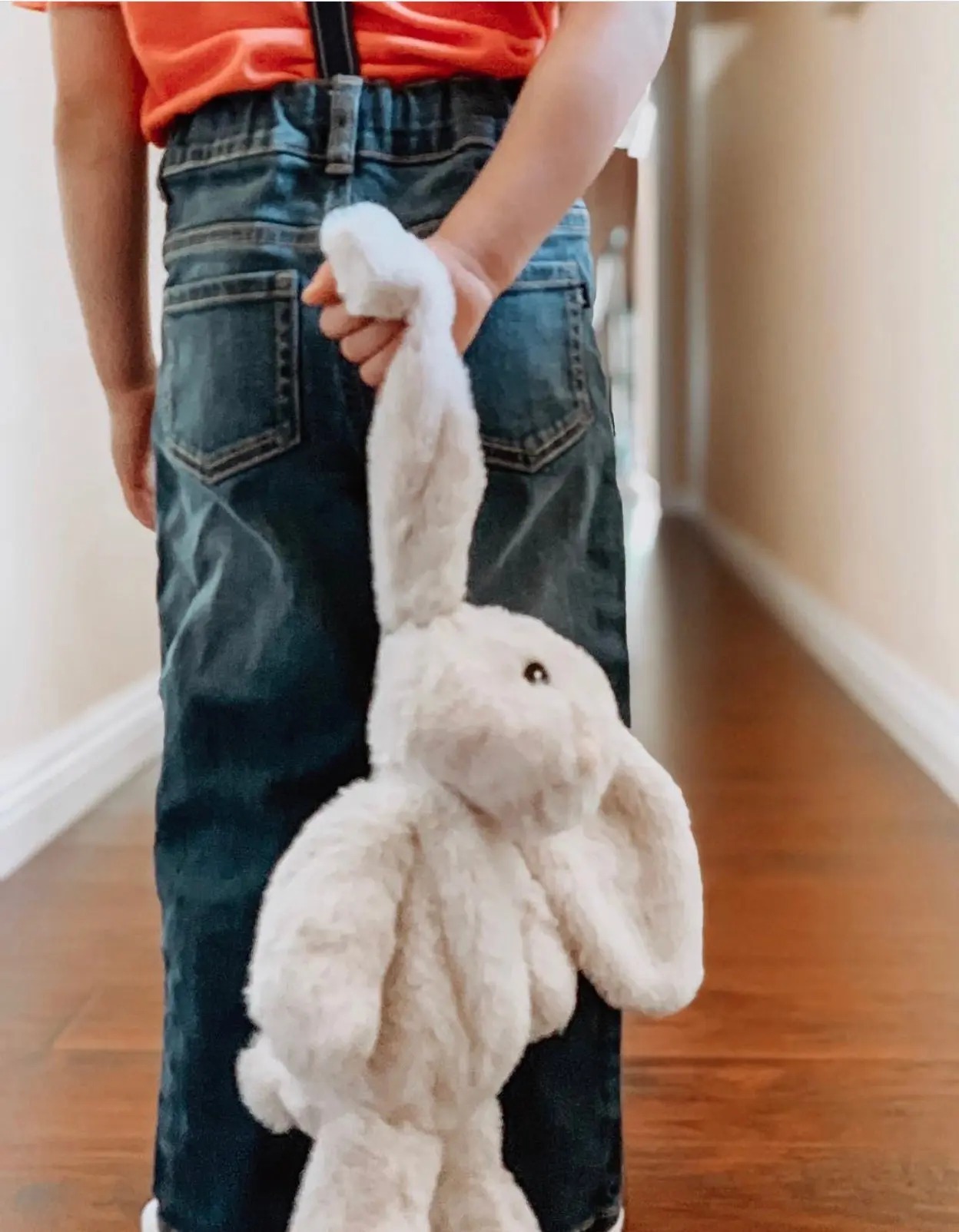 Xander Bunny comfort friend
